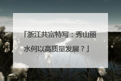 浙江共富特写：秀山丽水何以高质量发展？