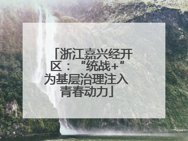 浙江嘉兴经开区：“统战+”为基层治理注入青春动力