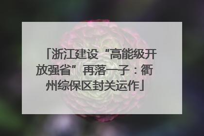 浙江建设“高能级开放强省”再落一子：衢州综保区封关运作