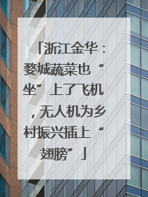 浙江金华：婺城蔬菜也“坐”上了飞机，无人机为乡村振兴插上“翅膀”