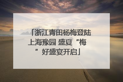 浙江青田杨梅登陆上海豫园 盛夏“梅”好盛宴开启
