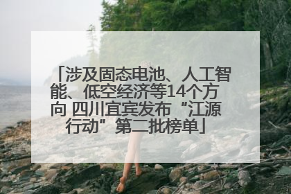 涉及固态电池、人工智能、低空经济等14个方向 四川宜宾发布“江源行动”第二批榜单