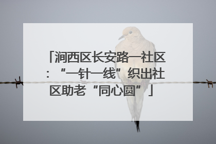 涧西区长安路一社区：“一针一线”织出社区助老“同心圆”
