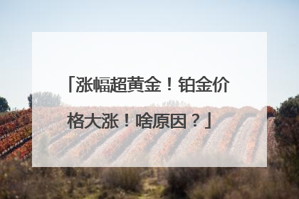 涨幅超黄金！铂金价格大涨！啥原因？
