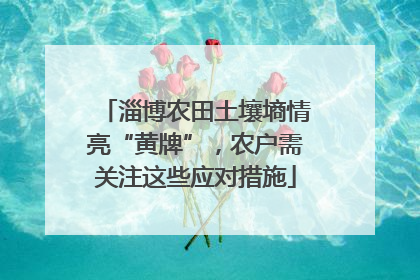 淄博农田土壤墒情亮“黄牌”，农户需关注这些应对措施