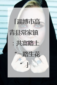 淄博市高青县常家镇：共富路上“一路生花”