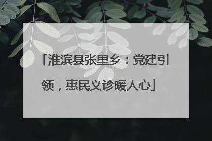 淮滨县张里乡：党建引领，惠民义诊暖人心