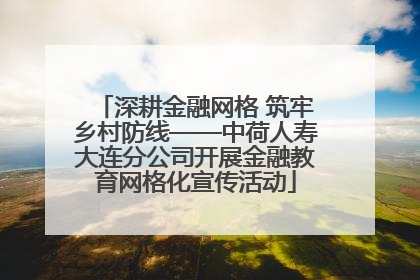 深耕金融网格 筑牢乡村防线——中荷人寿大连分公司开展金融教育网格化宣传活动