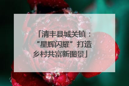 清丰县城关镇：“星辉闪耀”打造乡村共富新图景