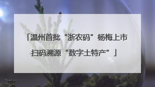 温州首批“浙农码”杨梅上市 扫码溯源“数字土特产”