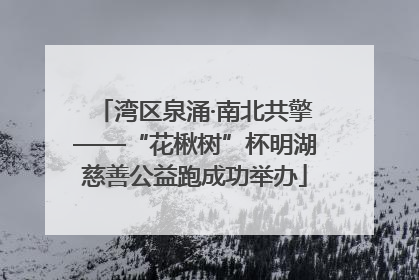 湾区泉涌·南北共擎——“花楸树”杯明湖慈善公益跑成功举办