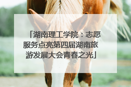 湖南理工学院：志愿服务点亮第四届湖南旅游发展大会青春之光