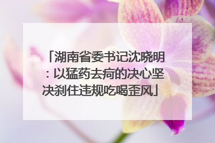 湖南省委书记沈晓明：以猛药去疴的决心坚决刹住违规吃喝歪风