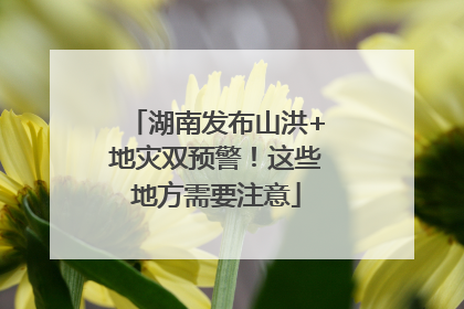 湖南发布山洪+地灾双预警！这些地方需要注意