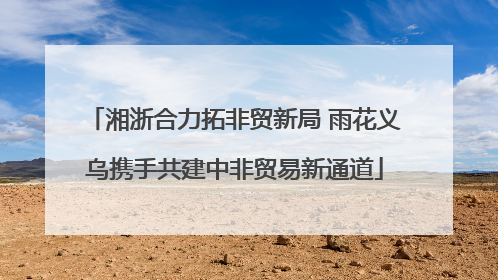 湘浙合力拓非贸新局 雨花义乌携手共建中非贸易新通道