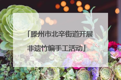 滕州市北辛街道开展非遗竹编手工活动
