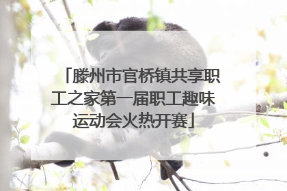 滕州市官桥镇共享职工之家第一届职工趣味运动会火热开赛