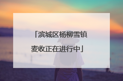 滨城区杨柳雪镇麦收正在进行中