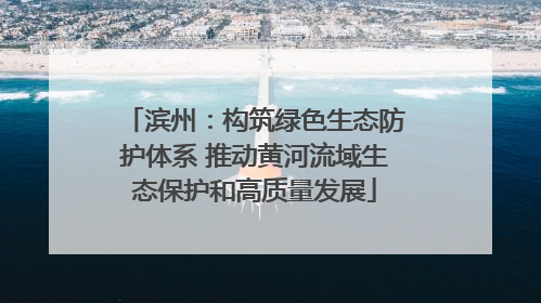 滨州：构筑绿色生态防护体系 推动黄河流域生态保护和高质量发展
