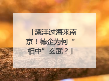 漂洋过海来南京！德企为何“相中”玄武？