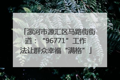漯河市源汇区马路街街道：“96771”工作法让群众幸福“满格”