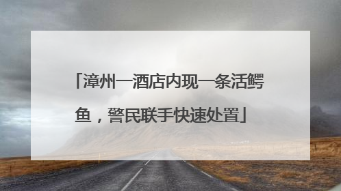 漳州一酒店内现一条活鳄鱼，警民联手快速处置