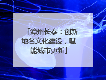 漳州长泰：创新地名文化建设，赋能城市更新