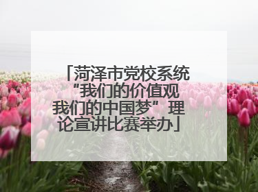 菏泽市党校系统“我们的价值观 我们的中国梦”理论宣讲比赛举办