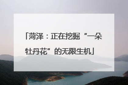菏泽：正在挖掘“一朵牡丹花”的无限生机
