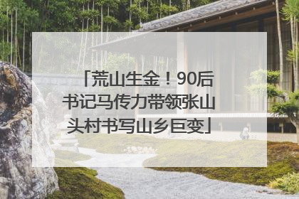 荒山生金！90后书记马传力带领张山头村书写山乡巨变