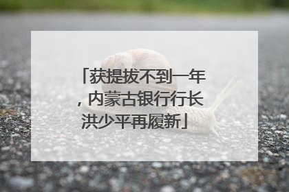 获提拔不到一年，内蒙古银行行长洪少平再履新