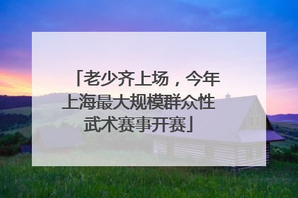 老少齐上场，今年上海最大规模群众性武术赛事开赛