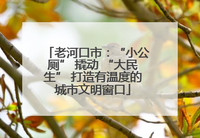 老河口市：“小公厕” 撬动 “大民生” 打造有温度的城市文明窗口
