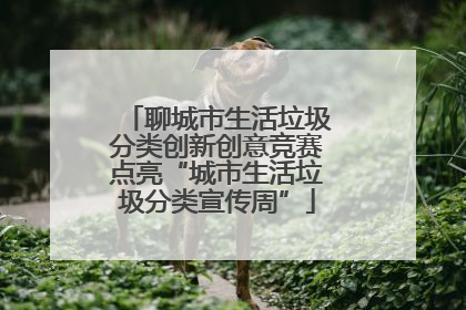 聊城市生活垃圾分类创新创意竞赛点亮“城市生活垃圾分类宣传周”