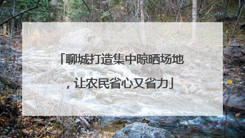 聊城打造集中晾晒场地，让农民省心又省力