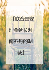 联合国安理会延长对南苏丹的制裁