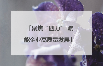 聚焦“四力” 赋能企业高质量发展