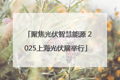 聚焦光伏智慧能源 2025上海光伏展举行