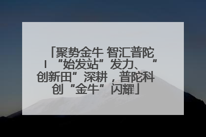 聚势金牛 智汇普陀〡“始发站”发力、“创新田”深耕，普陀科创“金牛”闪耀