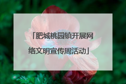 肥城桃园镇开展网络文明宣传周活动