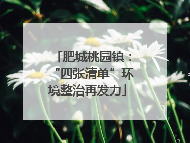 肥城桃园镇：“四张清单”环境整治再发力