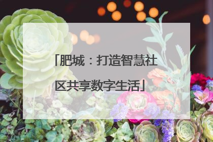 肥城：打造智慧社区共享数字生活