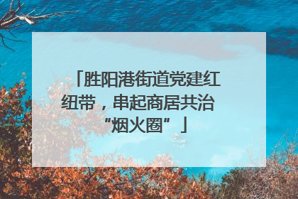 胜阳港街道党建红纽带，串起商居共治 “烟火圈”