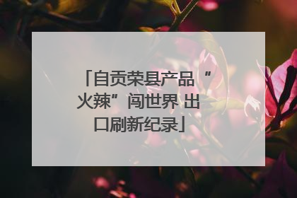 自贡荣县产品“火辣”闯世界 出口刷新纪录