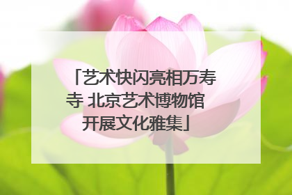 艺术快闪亮相万寿寺 北京艺术博物馆开展文化雅集