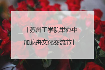 苏州工学院举办中加龙舟文化交流节
