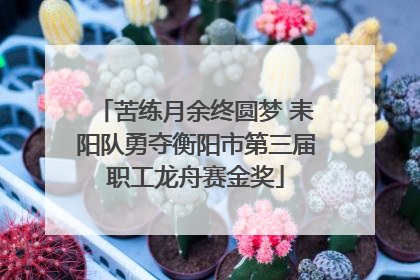 苦练月余终圆梦 耒阳队勇夺衡阳市第三届职工龙舟赛金奖
