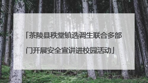 茶陵县秩堂镇选调生联合多部门开展安全宣讲进校园活动