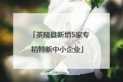 茶陵县新增5家专精特新中小企业