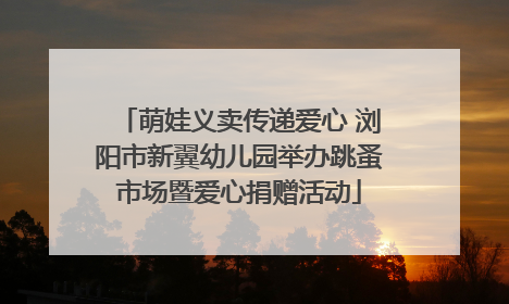 萌娃义卖传递爱心 浏阳市新翼幼儿园举办跳蚤市场暨爱心捐赠活动